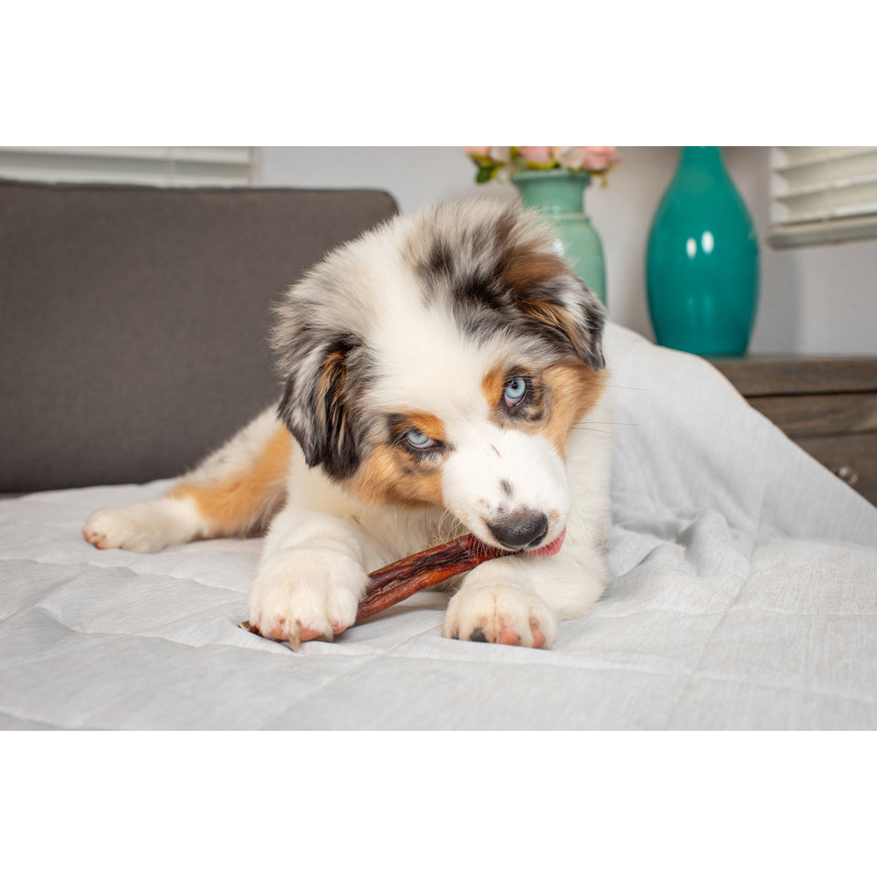 Natural Cravings USA Monster Bully Stick 6"