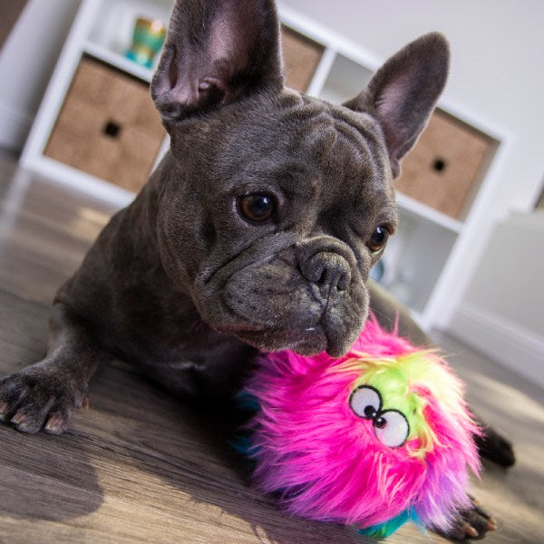 goDog Furballz Durable Squeaky Plush Dog Toy, Rainbow