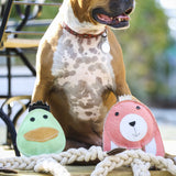 HuggleHounds Durable All Natural Rope Knottie Dog Toy, Bunny