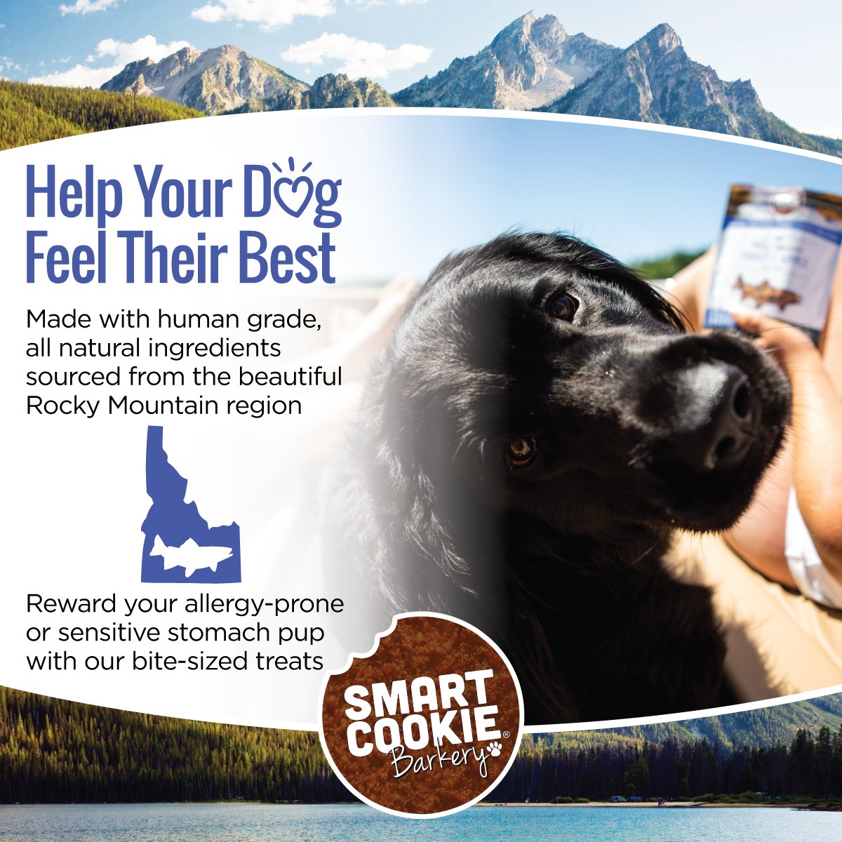 Smart Cookie Barkery Regional Bites Rocky Mountain Trout & Apple Treats For Dogs, 5oz