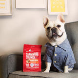 Stella & Chewy's Carnivore Crunch Beef Freeze Dried Dog Treats - 3.25oz