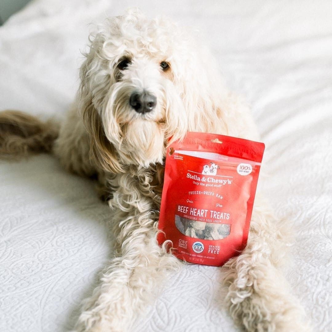 Stella & Chewy's Freeze Dried Beef Heart Treats For Dogs, 3oz