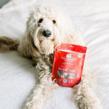 Stella & Chewy's Freeze Dried Beef Heart Treats For Dogs, 3oz