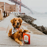 Stella & Chewy's Raw Coated Lamb Biscuits For Dogs, 9oz
