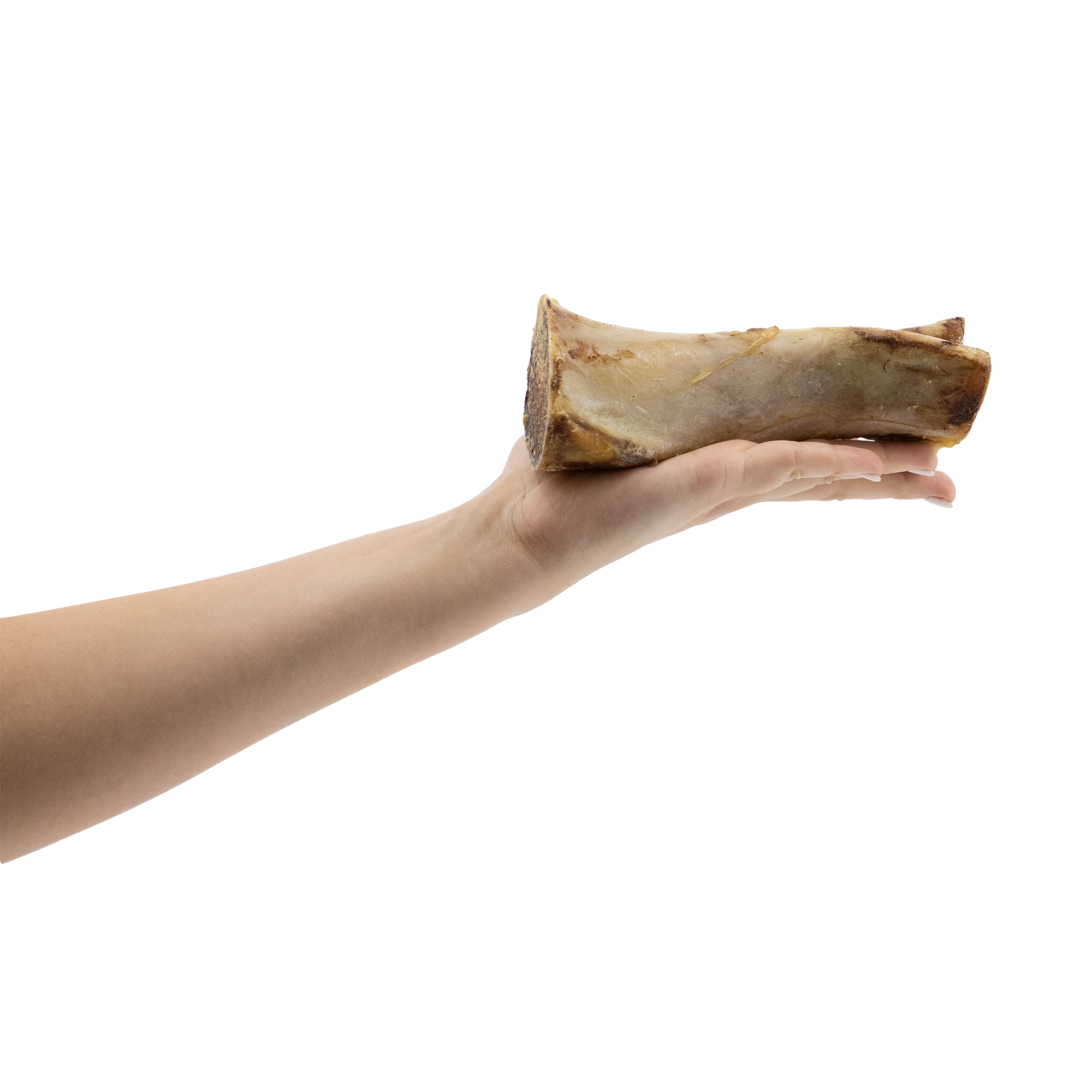 BarkNBig USA Bison Marrow Bone Dog Treat, 5-7"