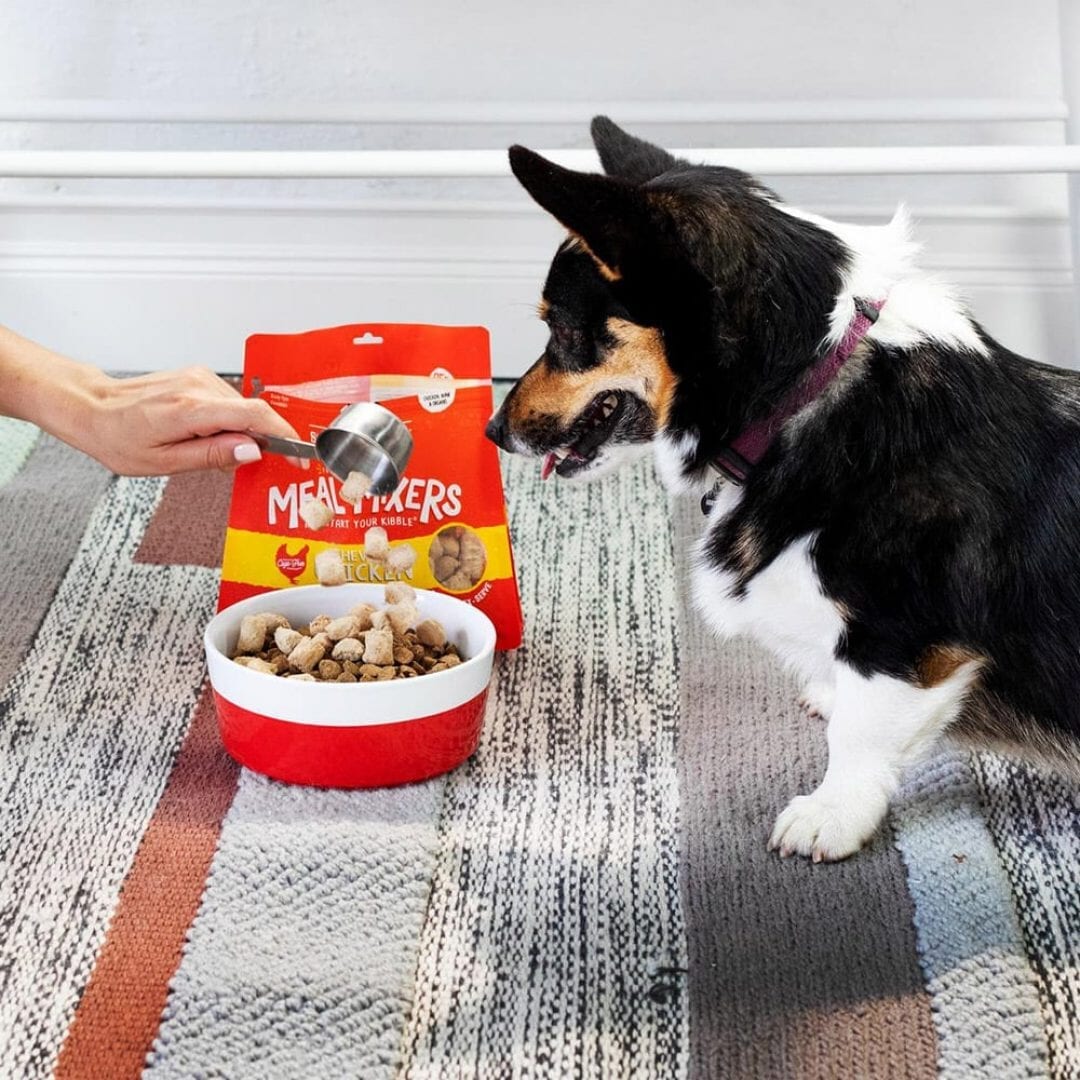 Stella & Chewy's Chicken Freeze-Dried Meal Mixers For Dogs