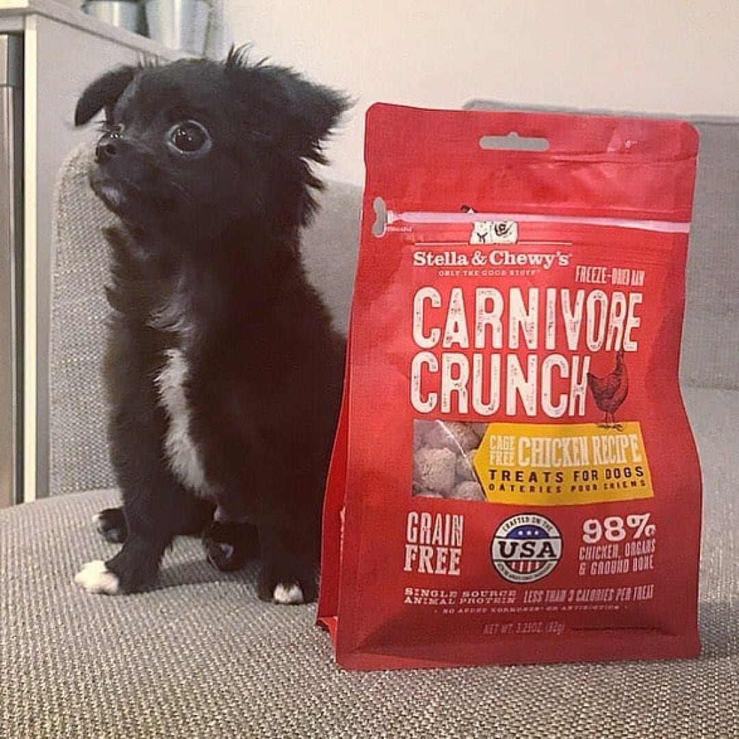 Stella & Chewy's Carnivore Crunch Freeze Dried Chicken Dog Treats, 3.25oz