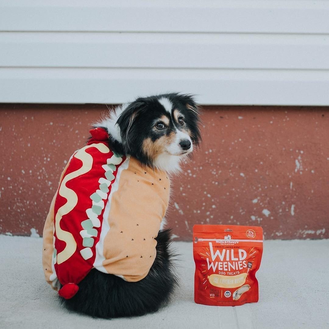 Stella & Chewy's Wild Weenies Chicken Recipe Freeze Dried Dog Treats