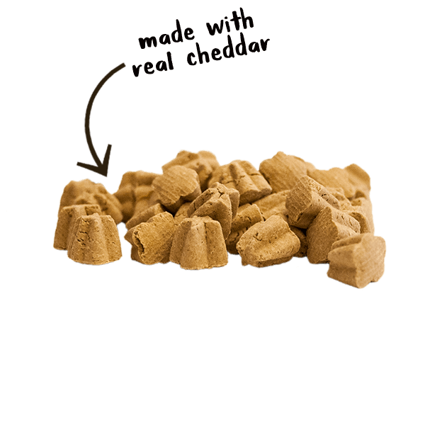 Cloud Star Crunchy Tricky Trainers Cheddar Dog Treats, 8oz