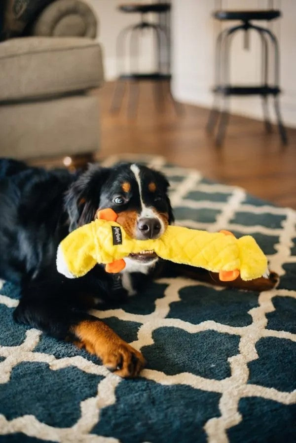 ZippyPaws Jigglerz Duck Plush Dog Toy