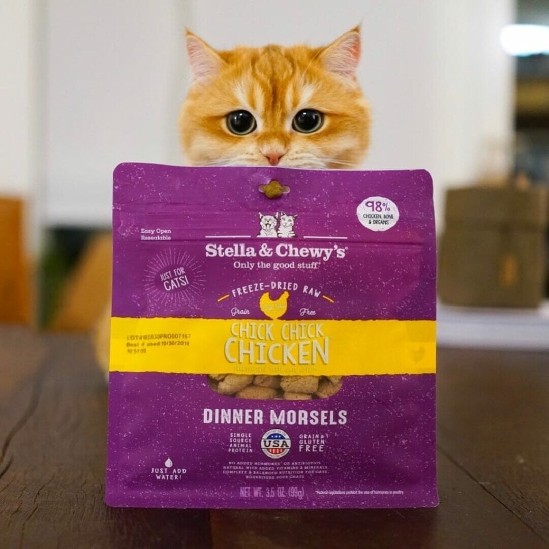 Stella & Chewy's Chick Chick Chicken Dinner Morsels Freeze Dried Cat Food