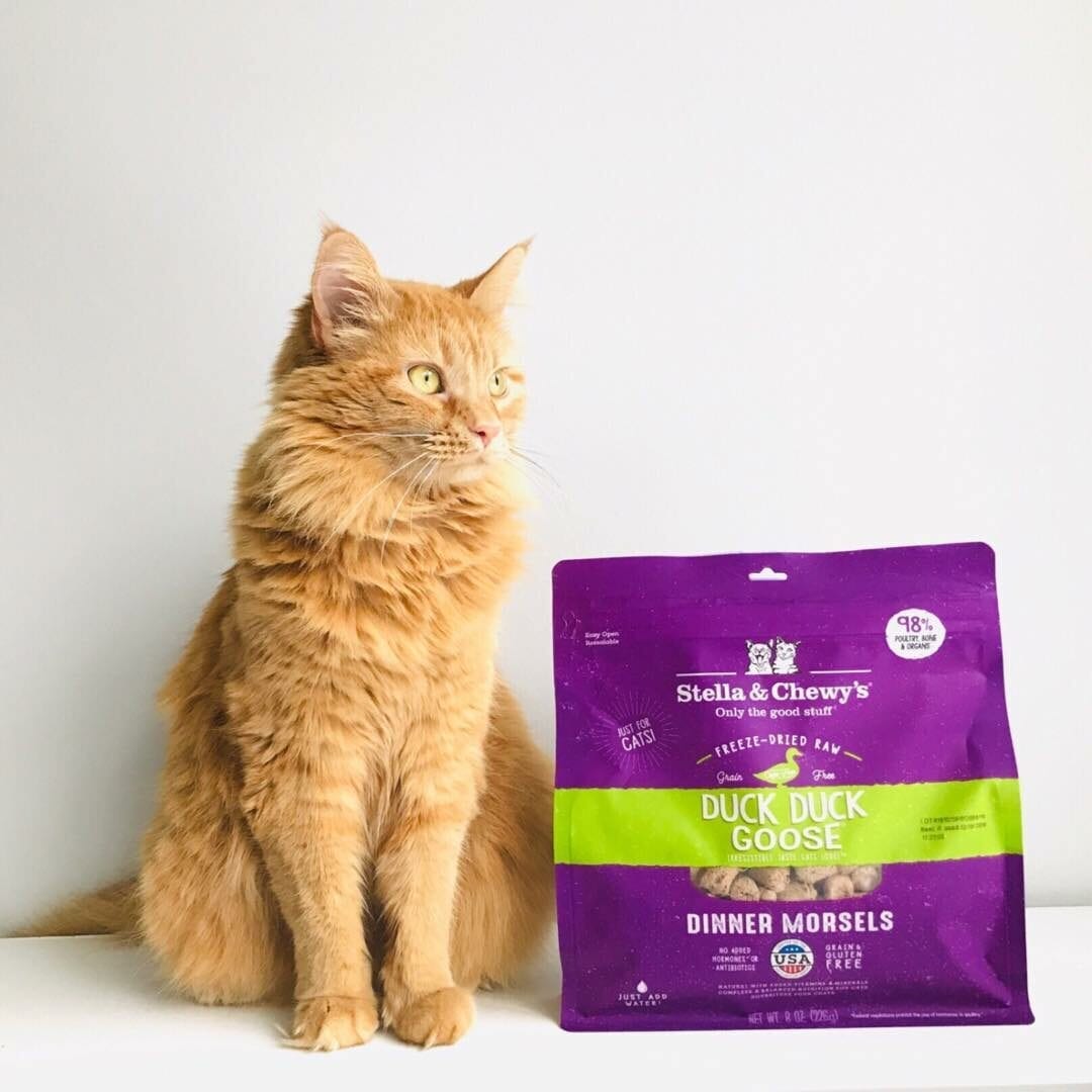 Stella & Chewy's Duck Duck Goose Dinner Morsels Freeze Dried Cat Food