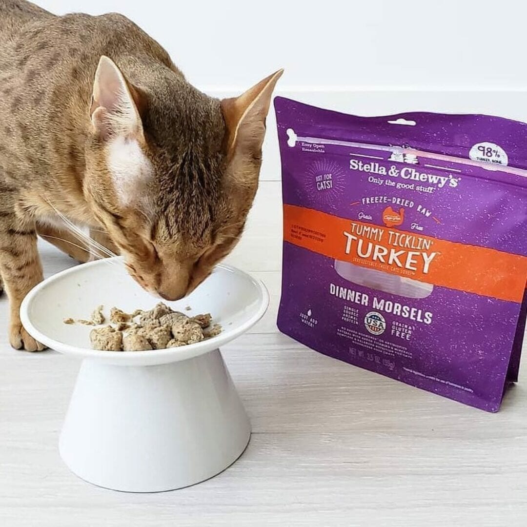 Stella & Chewy's Tummy Ticklin' Turkey Dinner Morsels Freeze Dried Cat Food