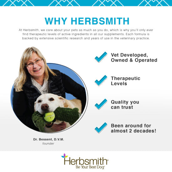 Herbsmith Microflora Plus Digestive Supplement For Dogs, 60ct