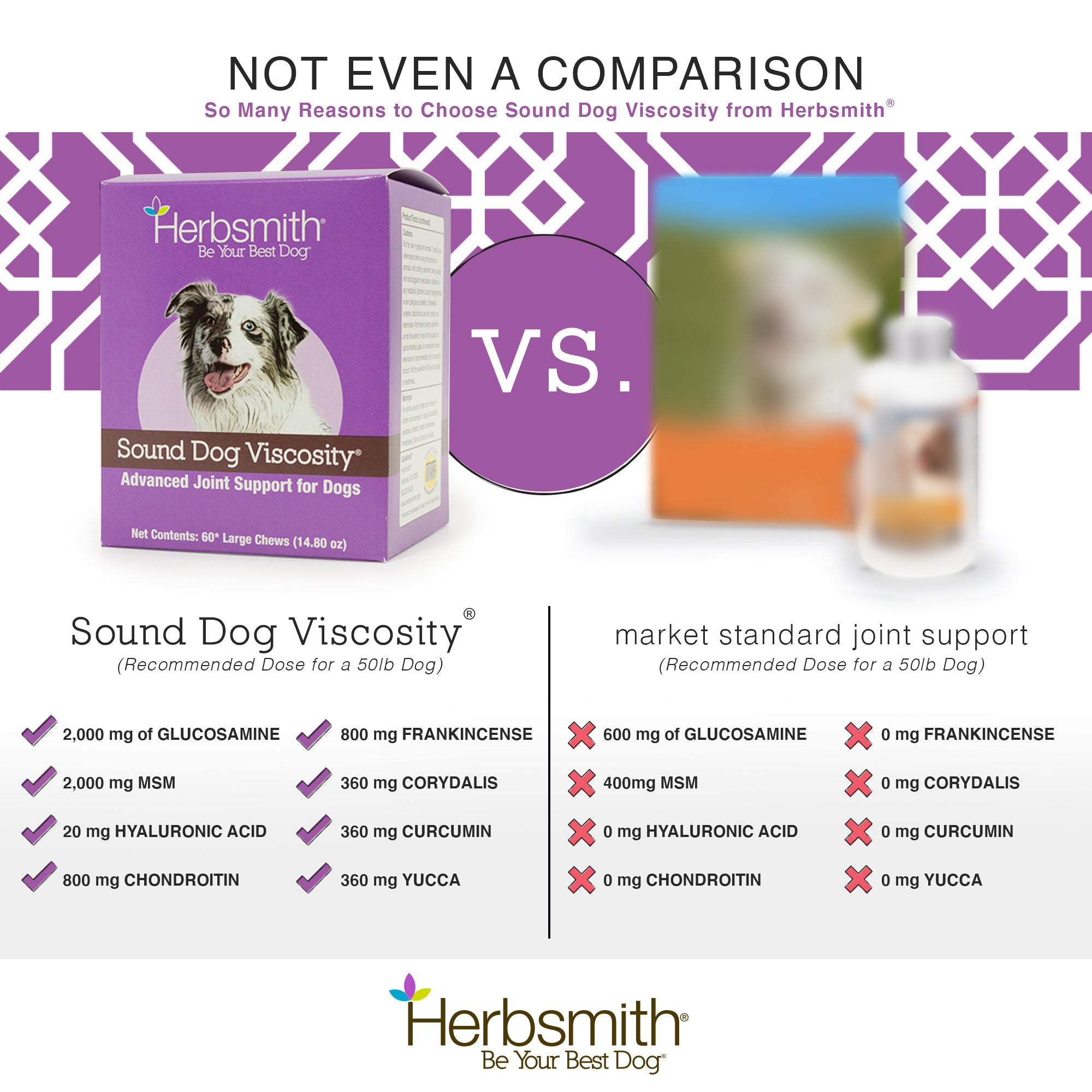 Herbsmith Sound Dog Viscosity Soft Chews - Advanced Joint Support For Dogs