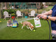 Wondercide Natural Ready-to-Use Flea & Tick Yard & Garden Spray, 32oz