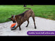 KONG Jumbler Ball Dog Toy, Assorted Colors