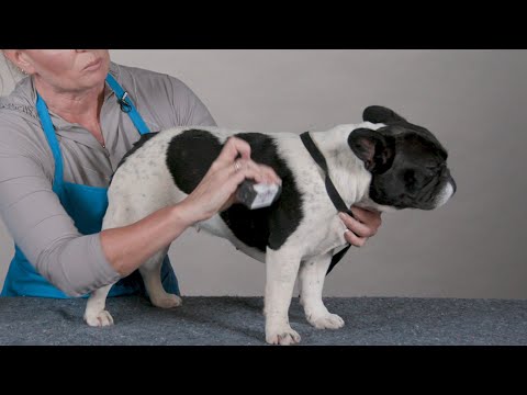 Chris Christensen Chalk Block Grooming Chalk For Dogs