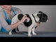 Chris Christensen Chalk Block Grooming Chalk For Dogs