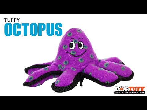 Tuffy Lil Oscar Octopus Ocean Creatures Plush Dog toy