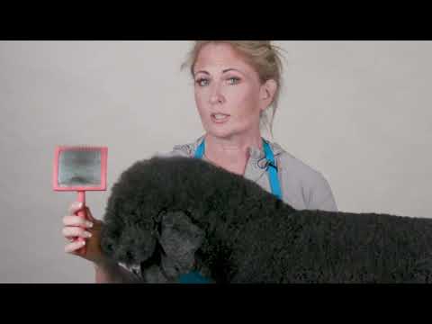 Chris Christensen Big G Slicker Brush For Dogs