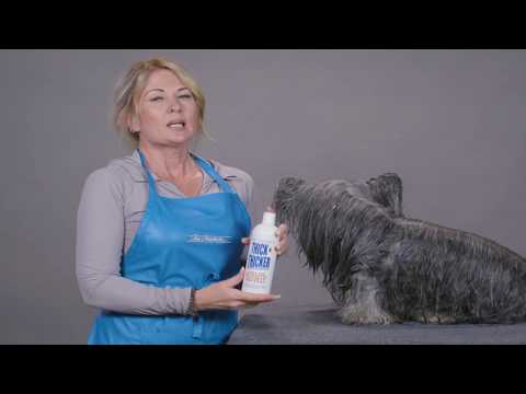 Chris Christensen Thick N Thicker Volume Response Foaming Protein Coat Treatment For Dogs, 16oz