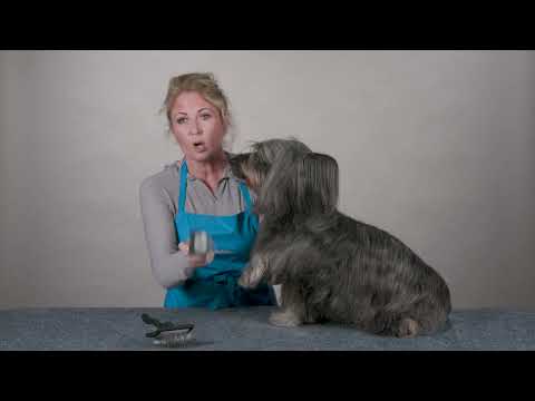 Chris Christensen Big K Slicker Brush For Dogs