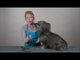 Chris Christensen Big K Slicker Brush For Dogs