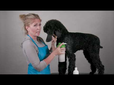 Chris Christensen After U Bathe Final Rinse Solution for Dogs, 16oz