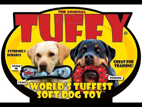 Tuffy Gary The Gator Durable Plush Dog Toy