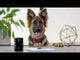 Redbarn Small Peanut Butter Filled Bone For Dogs