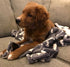 Tall Tails Icon Charcoal Dog Blanket