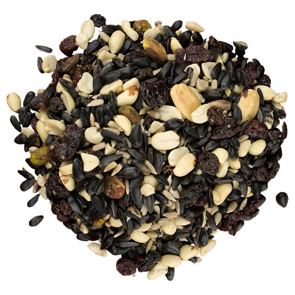 Bird Pro Nutty Berries w/Fruit Wild Bird Food, 5lb