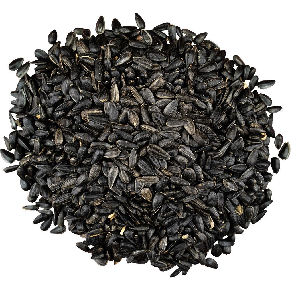 Bird Pro Premium Black Oil Sunflower Seed 4lb