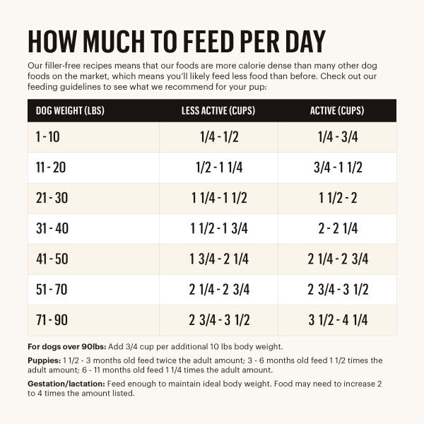 The Honest Kitchen Whole Food Clusters Whole Grain Beef, Oats & Turkey Recipe Dry Dog Food