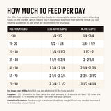 The Honest Kitchen Whole Food Clusters Whole Grain Beef, Oats & Turkey Recipe Dry Dog Food