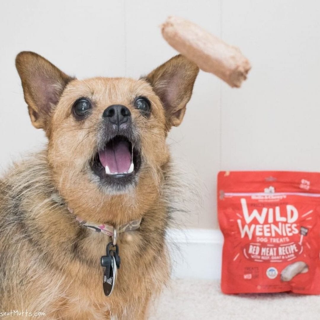 Stella & Chewy's Wild Weenies Red Meat Recipe Freeze Dried Dog Treats