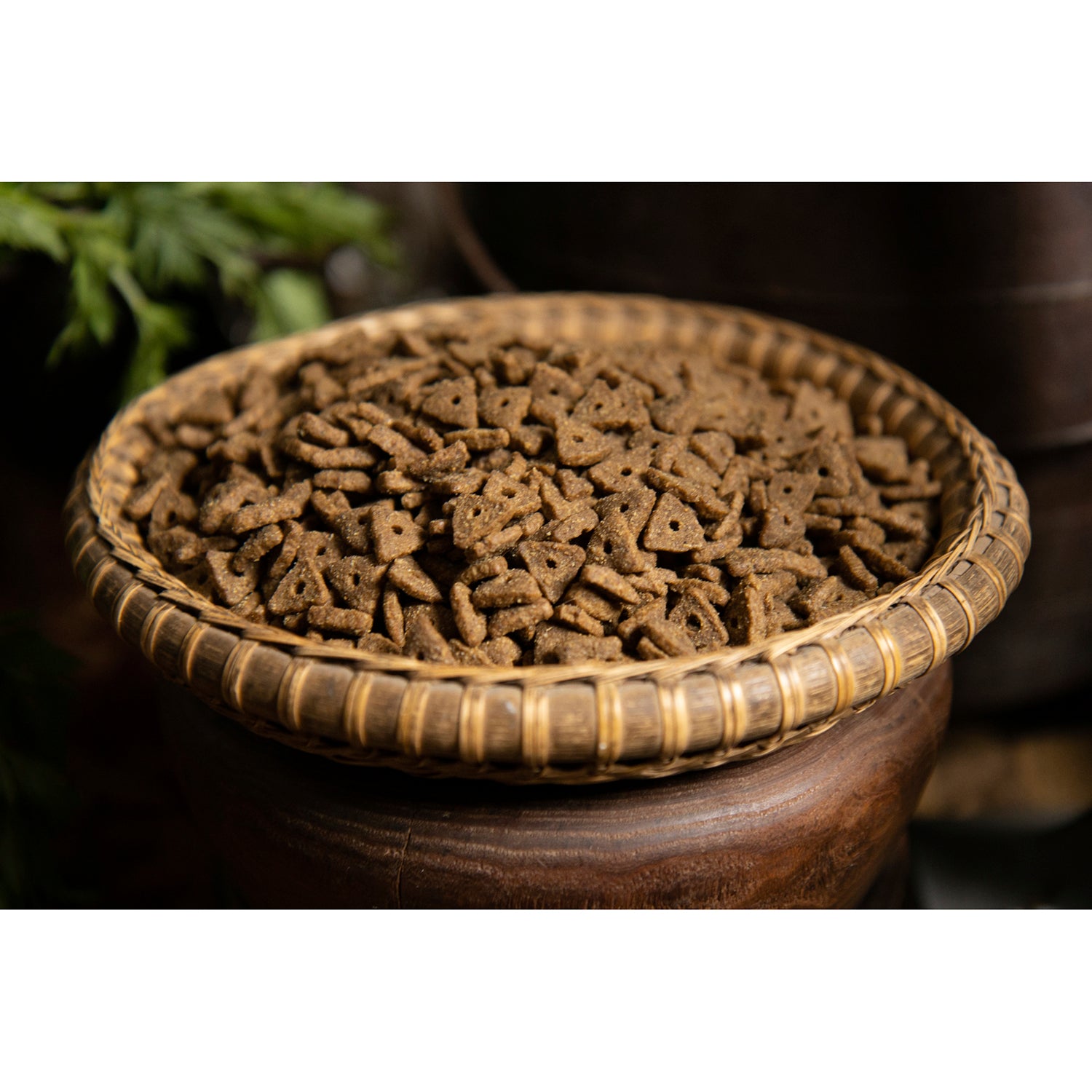 Regal Adult Recipe Dry Cat Food