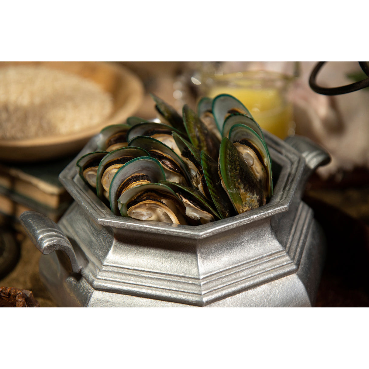 Regal Ocean Fish Recipe Adult Dry Dog Food
