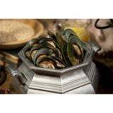 Regal Ocean Fish Recipe Adult Dry Dog Food