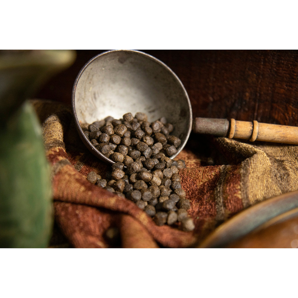 Regal Ocean Fish Recipe Adult Dry Dog Food