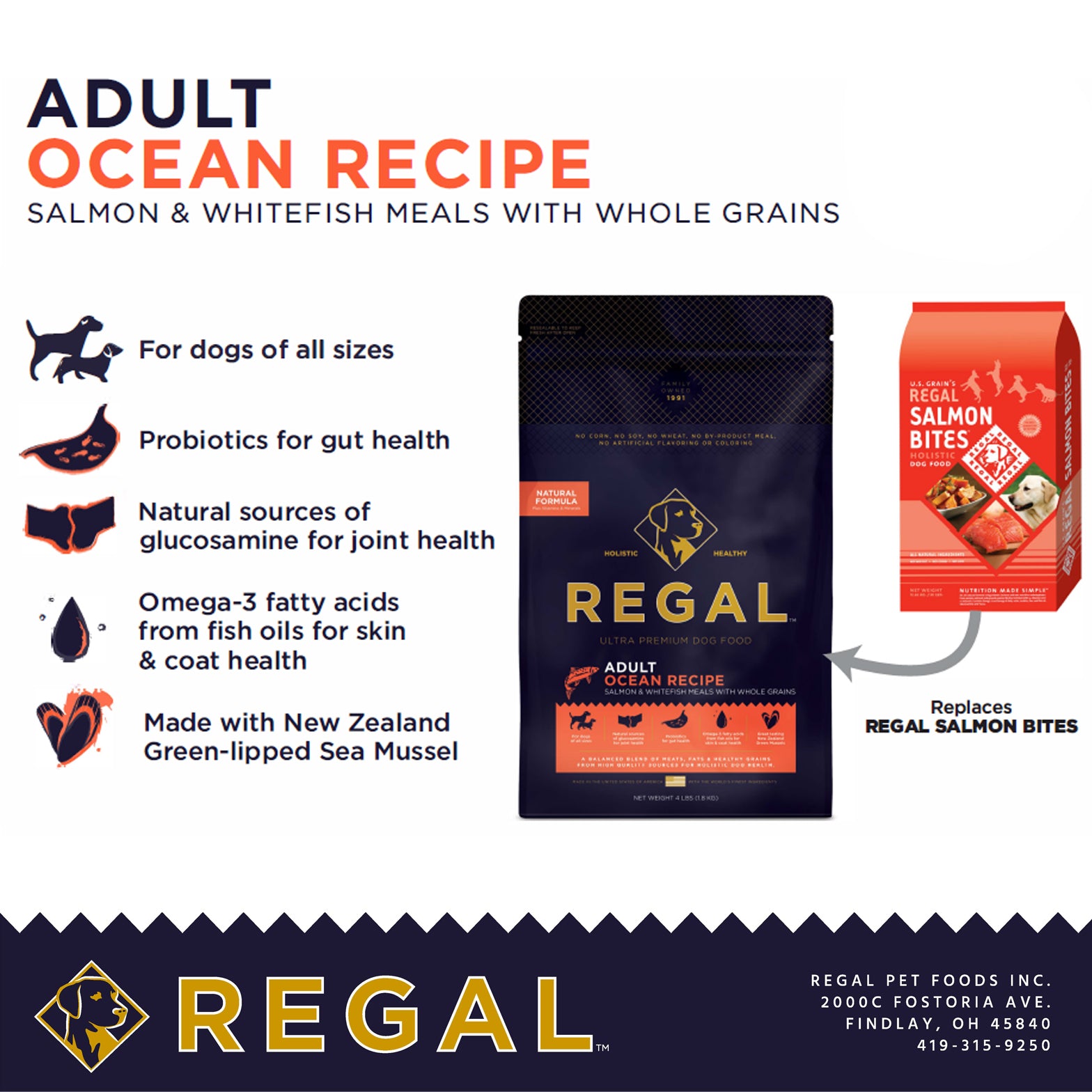 Regal Ocean Fish Recipe Adult Dry Dog Food, 4lb