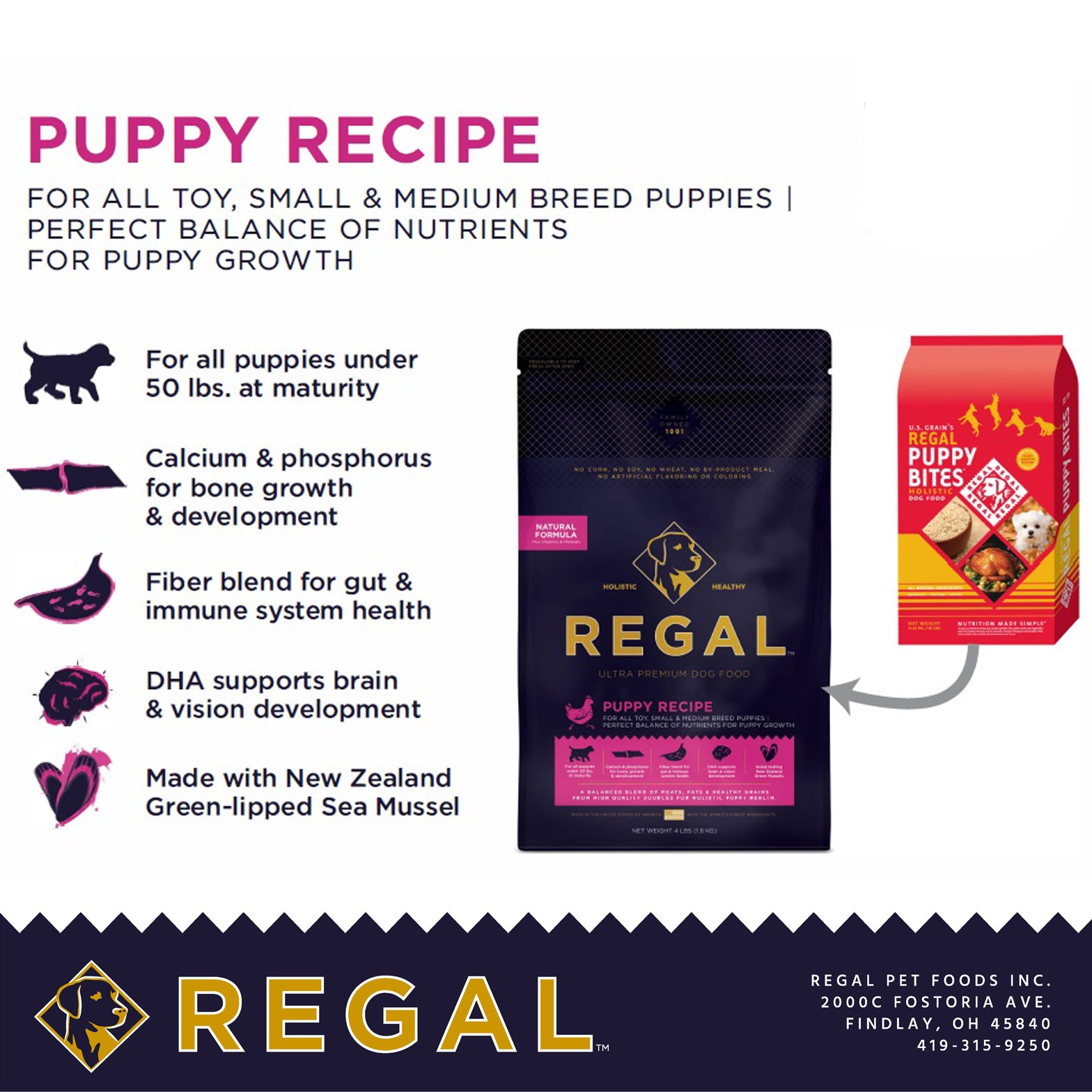 Regal Puppy Recipe Dry Dog Food