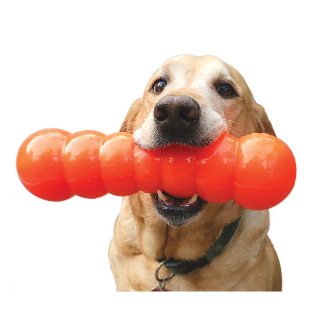 RuffDawg USA Dawg-Buster Rubber Retrieving Dog Toy