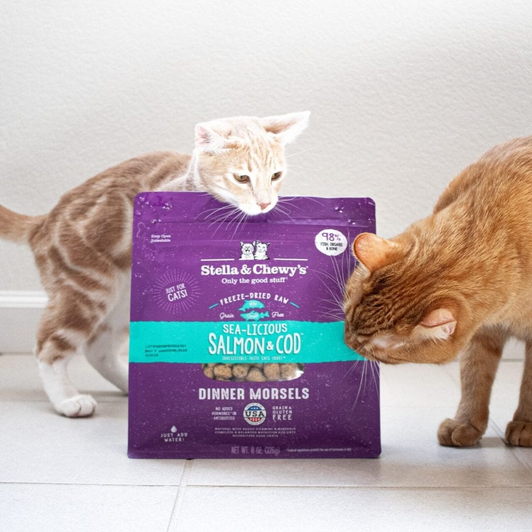 Stella & Chewy's Sea Licious Salmon & Cod Dinner Morsels Freeze Dried Cat Food
