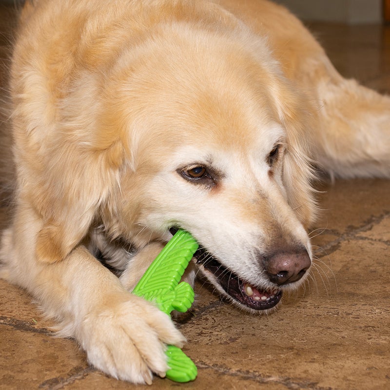 HuggleHounds USA Tuffut-Flex LeLe Rubber Dog Toy