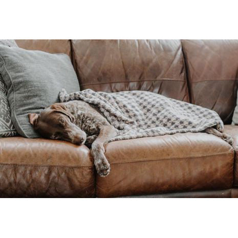 Tall Tails Houndstooth Dog Blanket