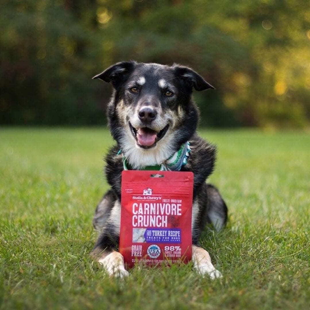 Stella & Chewy's Carnivore Crunch Cage-Free Turkey Recipe Freeze-Dried Dog Treats, 3.25oz