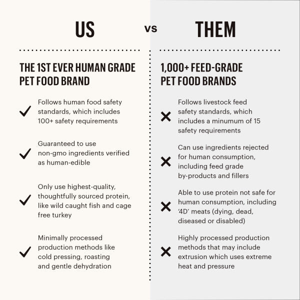 The Honest Kitchen Whole Food Clusters Whole Grain Beef, Oats & Turkey Recipe Dry Dog Food