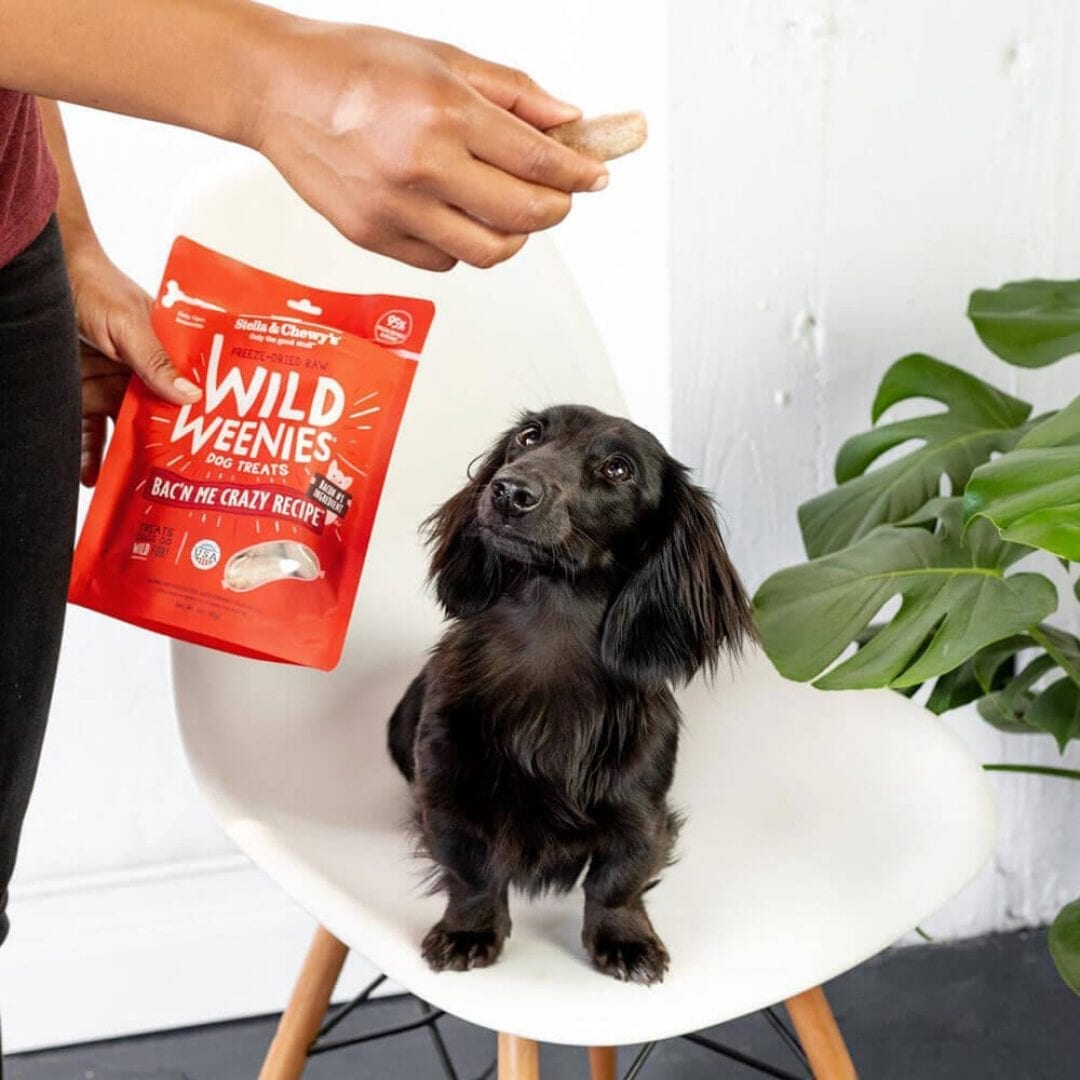 Stella & Chewy's Wild Weenies Bac'N Me Crazy Recipe Freeze Dried Dog Treats